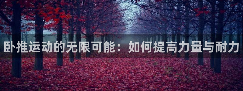 哈哈体育娱乐：卧推运动的无限可能：如何提高力量与耐力