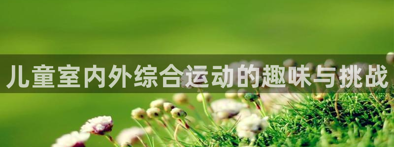 哈哈体育平台注册要钱吗安全吗：儿童室内外综合运动的趣味与挑战