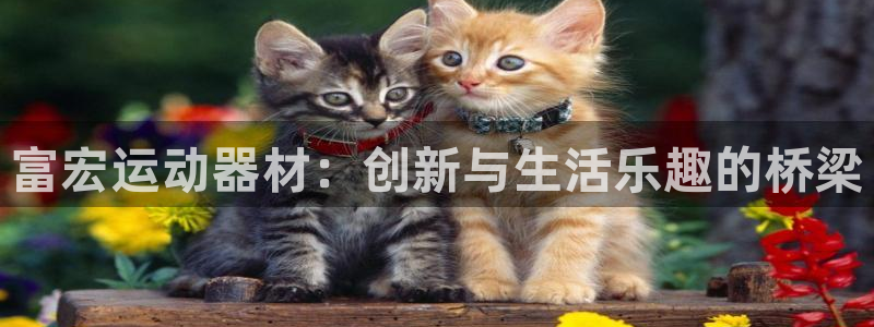 哈哈体育娱乐是那个系列的台子：富宏运动器材：创新与生